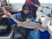 First specimen Hound of the year for Wicklow Boat Charters