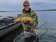 Mayfly over on Corrib, Caenis fishing well