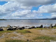 Quieter week for anglers on Loughs Conn & Cullin