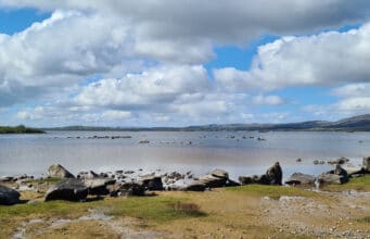 Trout fishing improves on Loughs Conn & Cullin