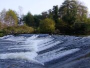 Habitats & Conservation Scheme 2022