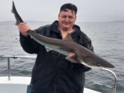Tope round off great reef fishing in Galway Bay