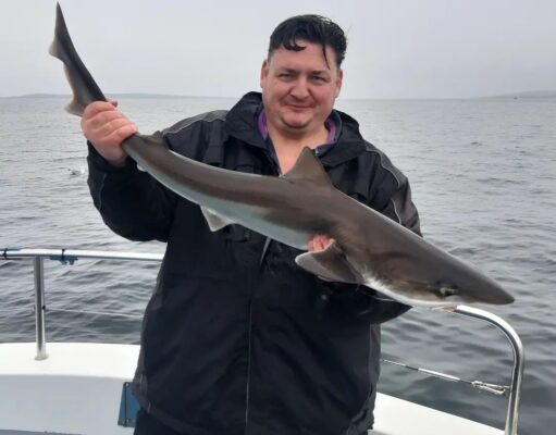 Tope round off great reef fishing in Galway Bay