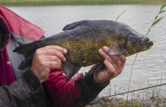 Reminder about angling regulations ahead of busy summer season