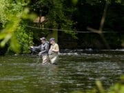 Irish Angling Update 17 June 2022