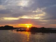 Irish Angling Update 10 June 2022