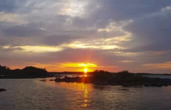 Irish Angling Update 10 June 2022