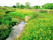 Lough Ennell Catchment Management Workshop Tudenham Stream in Co. Westmeath