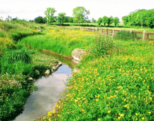 Lough Ennell Catchment Management Workshop Tudenham Stream in Co. Westmeath