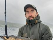 Good numbers of decent pollack caught in Donegal Bay