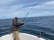 Great sport in West Clare when the wind eases