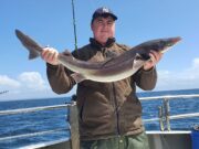 Predators arrive in Galway Bay to give good sport