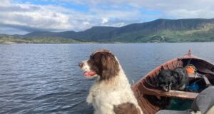 Grilse fishing picking up on Currane but water needed dog in a boat
