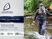 Webinar: Habitat Restoration in Irish Rivers – World Environment Day