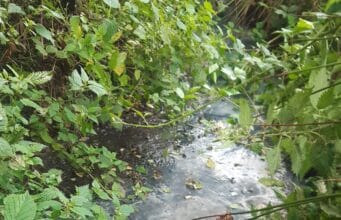 Farmer convicted and ordered to pay over €5,000 for polluting river with silage effluent