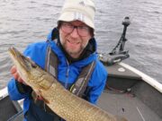 Good fly action for pike in Boyle