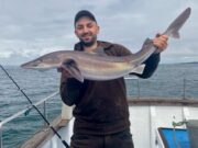 Great mix of species, and big predators in West Clare