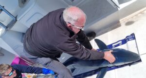 Silver Dawn gets first blue of 22 – that’s three years in a row Tadgh and first blue shark of 2022