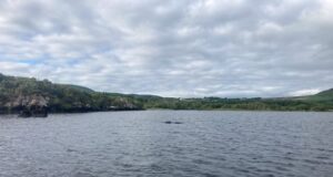 The Ledge, Lough Currane