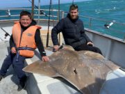 21 species and 2 specimens in a day for Courtmac charter boat anglers skate