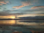 Irish Angling Update – 22 July 2022