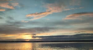 Irish Angling Update – 22 July 2022