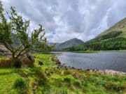 Irish Angling Update – 15 July 2022
