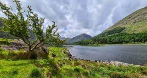 Irish Angling Update – 15 July 2022