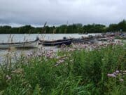 Irish Angling Update 29 July 2022