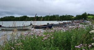 Irish Angling Update 29 July 2022