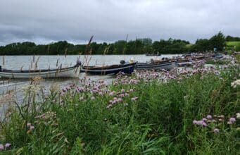 Irish Angling Update 29 July 2022