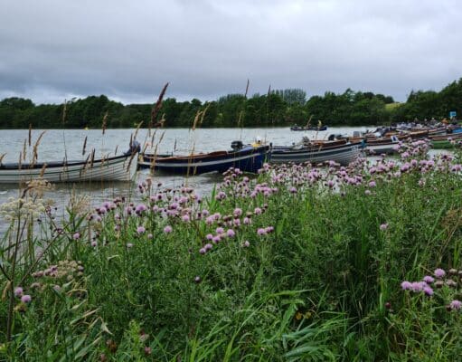 Irish Angling Update 29 July 2022