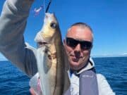 Small boat anglers enjoying good fishing out of Cork Harbour haddock