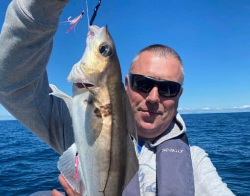 haddock
