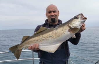 Wrecks producing plenty of quality pollack for Wicklow Boat Charters