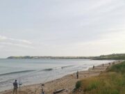 A good mix of fish at Ballyquin for West Cork and District SAC