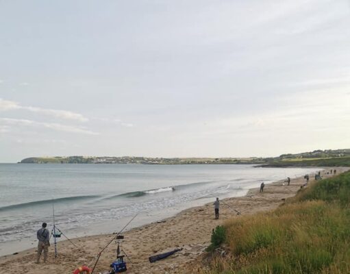 A good mix of fish at Ballyquin for West Cork and District SAC
