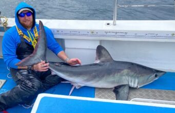 Shark season starts in Galway Bay