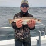 Brazen Hussy Whiting July 7 2022