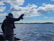 Heatwave puts dampener on fishing on Loughs Conn & Cullin