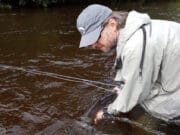Moy still producing good fishing despite hot weather and lower water