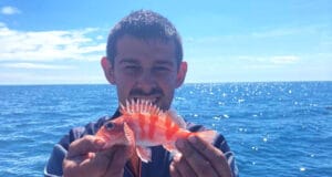 Species hunt comes up trumps for Sea Angling Charters