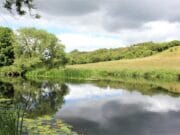 Some good sized salmon on the Boyne but rain needed River Boyne, Co. Meath