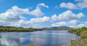 Some trout reported from Loughs Conn & Cullin