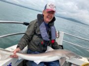Frantic fishing in the south east for Borough SAC