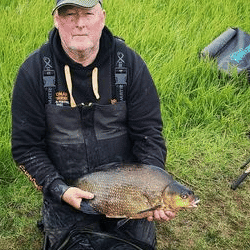 bream