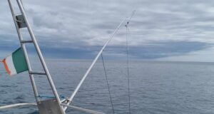 Down and out on the shark hunt in West Cork
