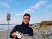 Great bass fishing for young man at Youghal