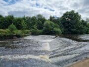 Public meeting announced for Annacotty Fish Passage Project