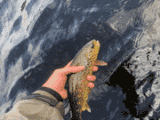 Bright sunshine and warm temperatures don’t help anglers on Conn & Cullin